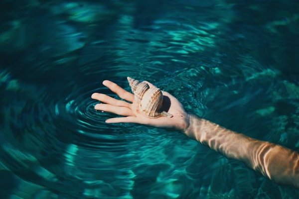 Coûts et étapes pour faire construire votre piscine
